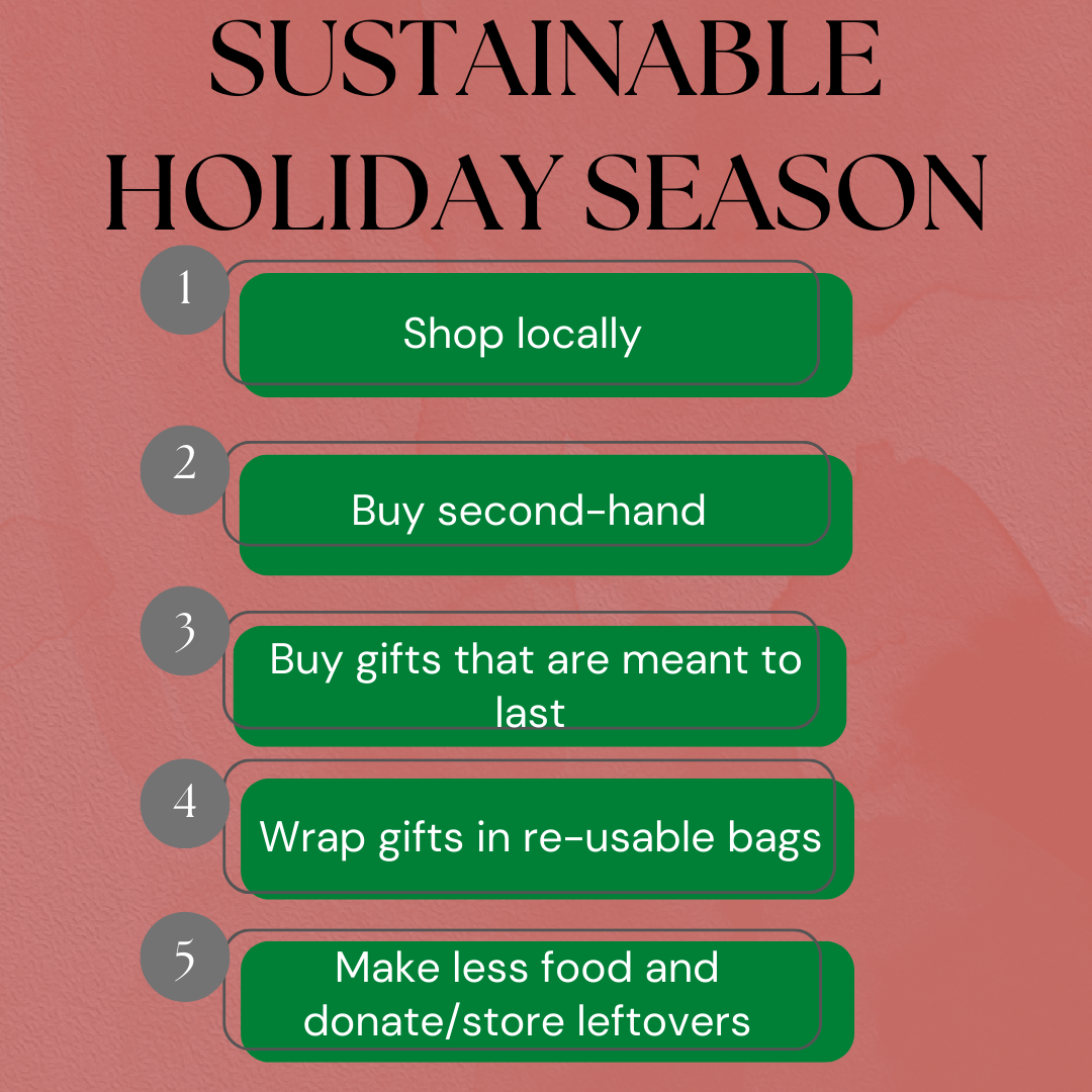 Sustainable Holiday Season Sustainability at UMN